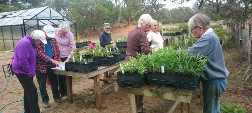 Great Ocean Road Coast invests in community projects